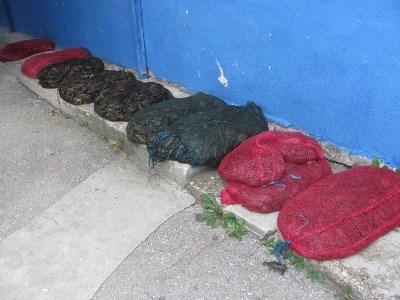 Slika PU_SD/riječni rakovi 127 kg web.jpg